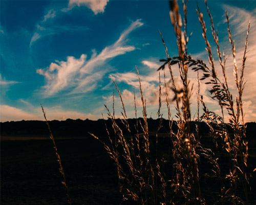 手机号轰炸服务