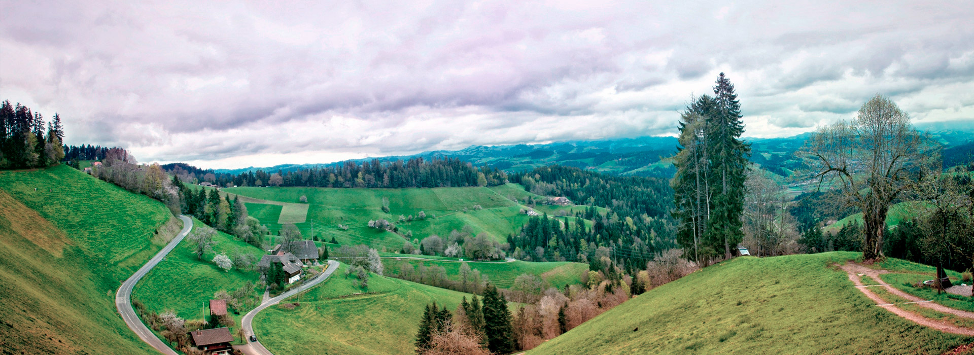 中国移动防电话轰炸